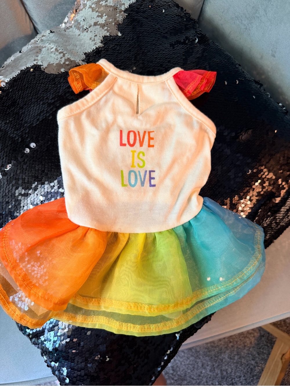 Rainbow 'Love Is Love' Pet Dress XXS